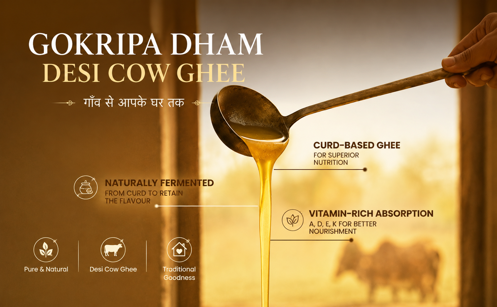 GOKRIPA DHAM DESI COW GHEE